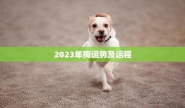 2023年狗运势及运程(狗狗们的未来如何)