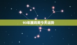 93年属鸡男今日运势(好运连连财源滚滚)