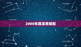 2000年属龙男婚配(如何选择配偶)