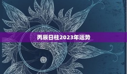 丙辰日柱2023年运势(热情洋溢财运亨通)