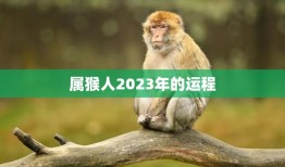 属猴人2023年的运程(幸运星高照财运亨通)