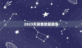 2023天降紫微星属兔