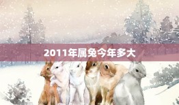 2011年属兔今年多大(属兔人的年龄计算方法)