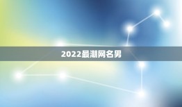 2022最潮网名男，2023年最潮男网名