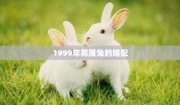 1999年男属兔的婚配(如何选择最佳配偶)