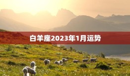 白羊座2023年1月运势(爱情事业双丰收)