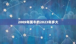 2009年属牛的2023年多大(属牛人2023年年龄预测)