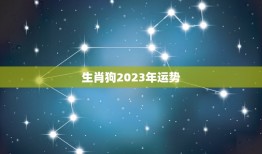 生肖狗2023年运势(狗年大展宏图财运亨通)