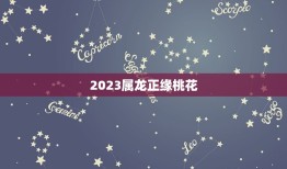 2023属龙正缘桃花(龙年桃花运势大介绍)