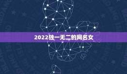 2022独一无二的网名女，2023独一无二的网名