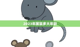 2023年属鼠多大年龄(探究属鼠人士的年龄特征与命运趋势)