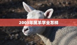 2003年属羊学业怎样(属羊人的学业运势分析)