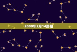 2000年2月14属相，2000年2月14号出生属龙的起刘春生怎么样