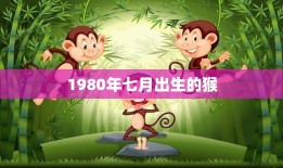 1980年七月出生的猴(回顾40年展望未来)