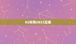 82年狗2023正缘(缘定三生狗年再续前缘)