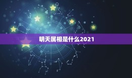 明天属相是什么2021，2021年今天属什么生肖？