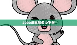 2000年属鼠多少岁数(如今已经多少岁了)