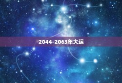 2044-2063年大运，请高人测八字