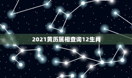 2021黄历属相查询12生肖，2021香港十二生肖码表