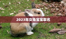 2023年女兔宝宝取名(如何选择最佳名字)