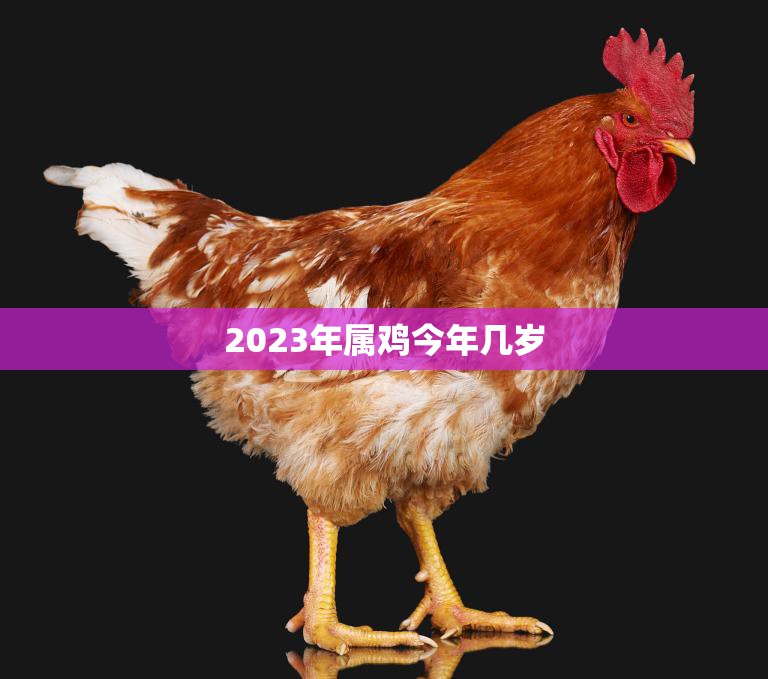 2023年属鸡今年几岁(你的年龄将迎来属相轮回的新篇章)