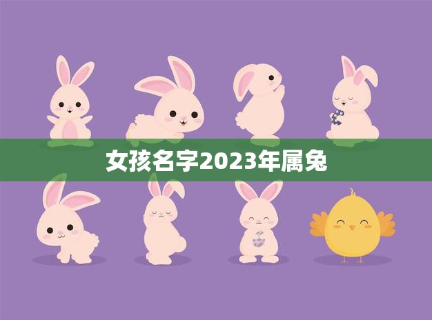 女孩名字2023年属兔(如何选择最佳的兔年宝宝名字)