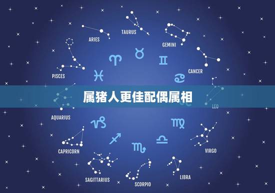 属猪人更佳配偶属相，83猪的更佳配偶属相