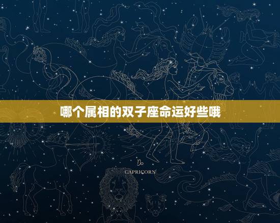 哪个属相的双子座命运好些哦,最新双子座今年运程 哪个属相的双子座命运好些哦,最新双子座今年运程