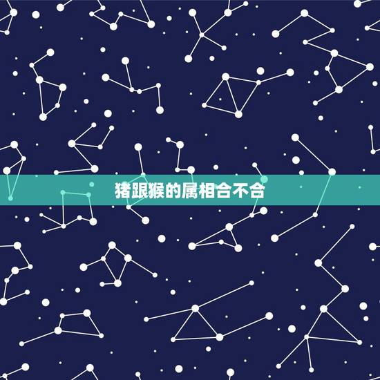 猪跟猴的属相合不合,属猴的和属猪的相配吗 猪跟猴的属相合不合,属猴的和属猪的相配吗
