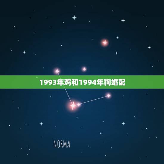 1993年鸡和1994年狗婚配(匹配天生一对) 1993年鸡和1994年狗婚配(匹配天生一对)
