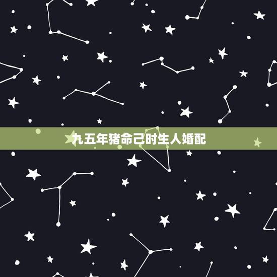 九五年猪命己时生人婚配，95年属猪的最佳婚配