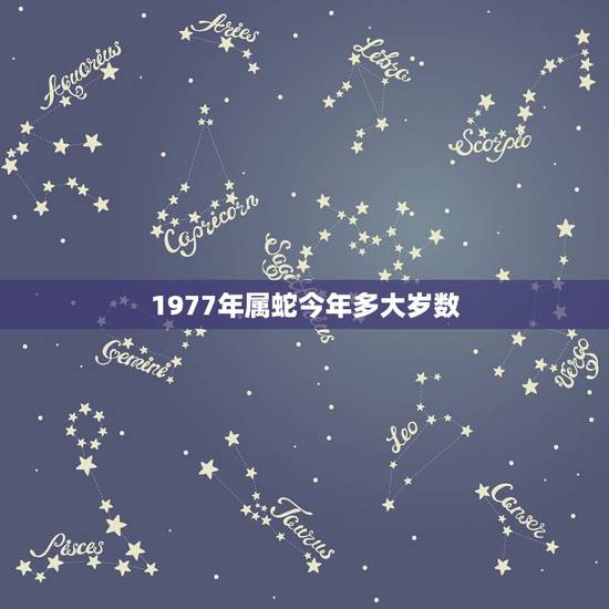 1977年属蛇今年多大岁数，蛇今年多大年龄了？