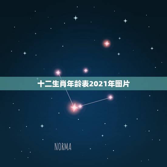 十二生肖年龄表2021年图片,十二生肖岁数年龄表 十二生肖年龄表2021年图片,十二生肖岁数年龄表