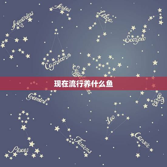 现在流行养什么鱼,养什么鱼好? 现在流行养什么鱼,养什么鱼好?