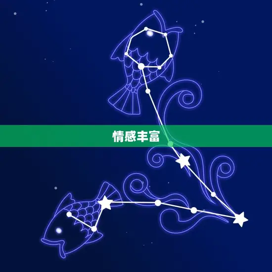 情感丰富 情感丰富