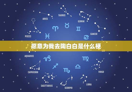 愿意为我去陶白白是什么梗,陶白白什么梗 愿意为我去陶白白是什么梗,陶白白什么梗