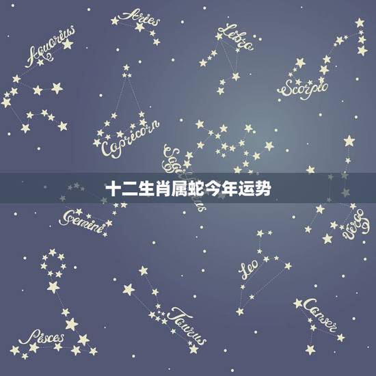十二生肖属蛇今年运势,十二生肖与人生运势 十二生肖属蛇今年运势,十二生肖与人生运势