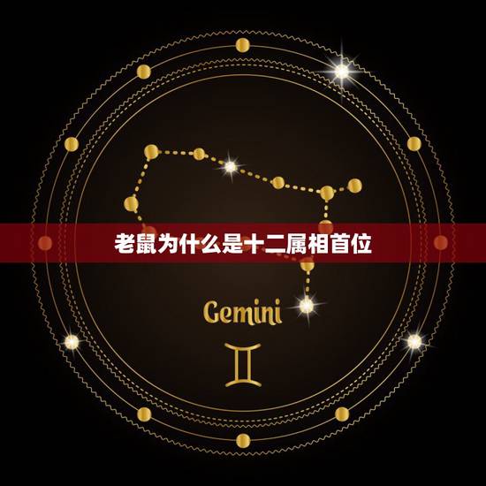 老鼠为什么是十二属相首位，属鼠最佳婚配属相