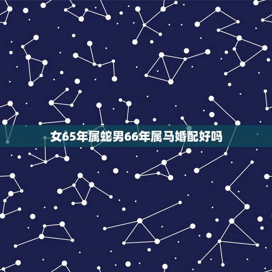 女65年属蛇男66年属马婚配好吗，65年蛇能不能与66年马相配。