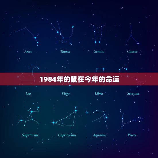 1984年的鼠在今年的命运，一九八四年属鼠命运