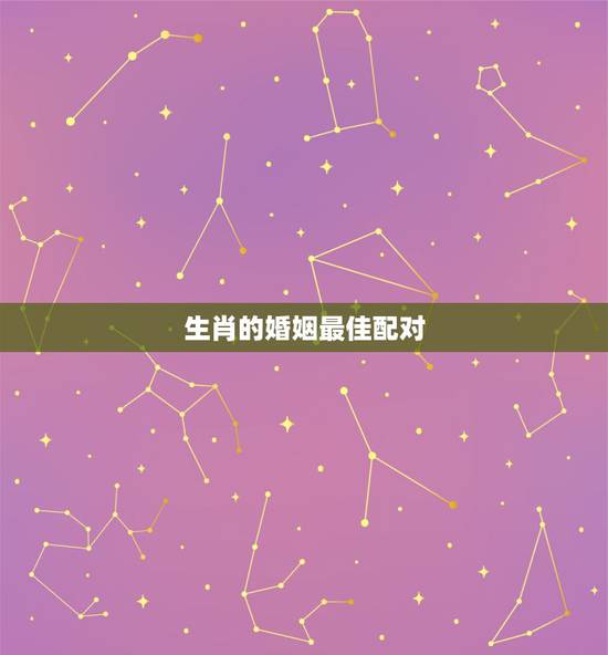 生肖的婚姻最佳配对，婚姻属相最佳配偶女猪1971适合找什么属相的男士