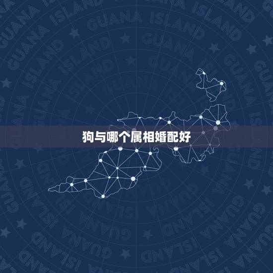 狗与哪个属相婚配好，九四年男狗与什么属相相配