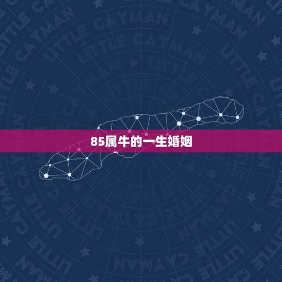 85属牛的一生婚姻,85年出生属牛的女人对婚姻与家庭 85属牛的一生婚姻,85年出生属牛的女人对婚姻与家庭