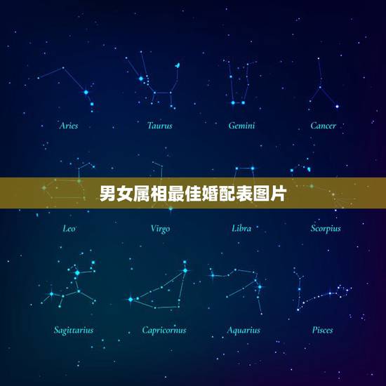 男女属相最佳婚配表图片，最佳婚配属相