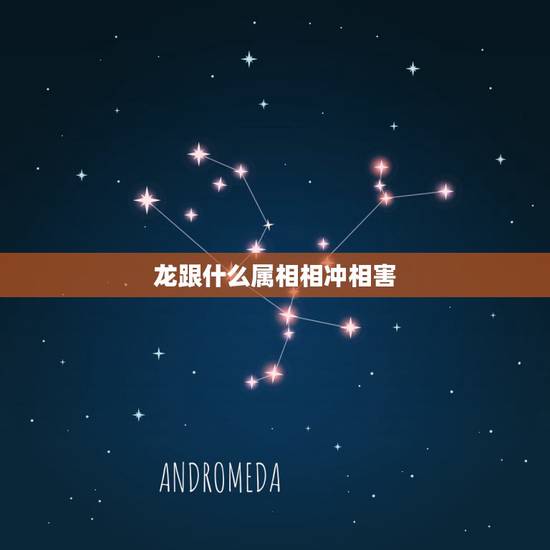 龙跟什么属相相冲相害，属龙和什么属相相合相冲