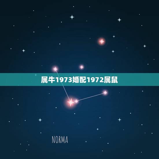 属牛1973婚配1972属鼠,1972年属鼠女和1973年属鼠牛男相配 属牛1973婚配1972属鼠,1972年属鼠女和1973年属鼠牛男相配