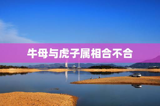 牛母与虎子属相合不合,牛与兔的生肖合得来吗? 牛母与虎子属相合不合,牛与兔的生肖合得来吗?