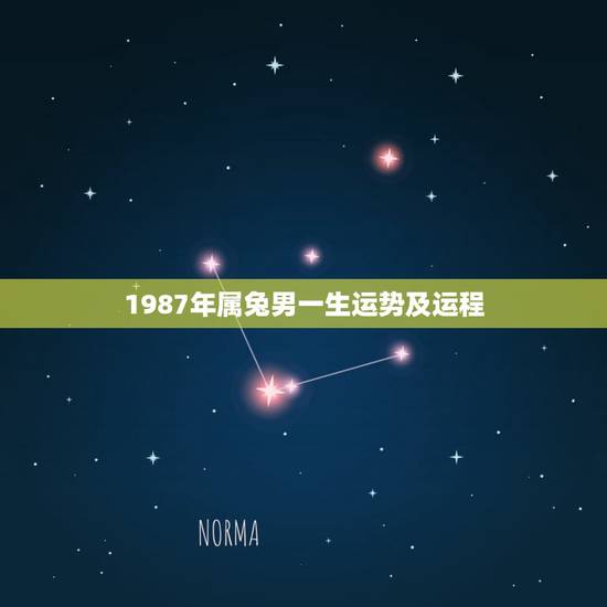 1987年属兔男一生运势及运程，1987属兔人今年财运