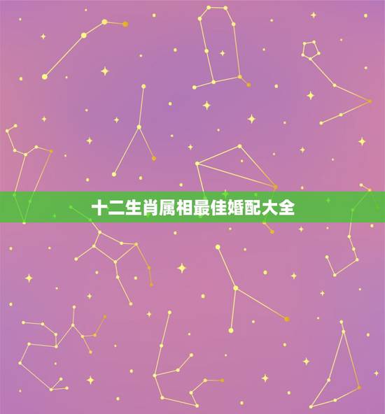 十二生肖属相最佳婚配大全，丑牛的最佳婚配属相是什么