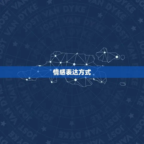 情感表达方式